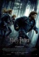 Harry Potter and the Deathly Hallows Part 1 (aventure,drama)